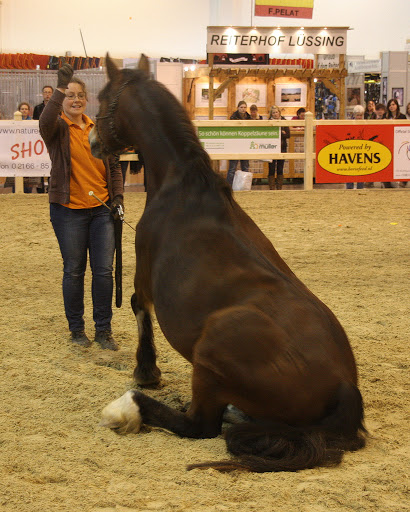 HorstEquitana2011